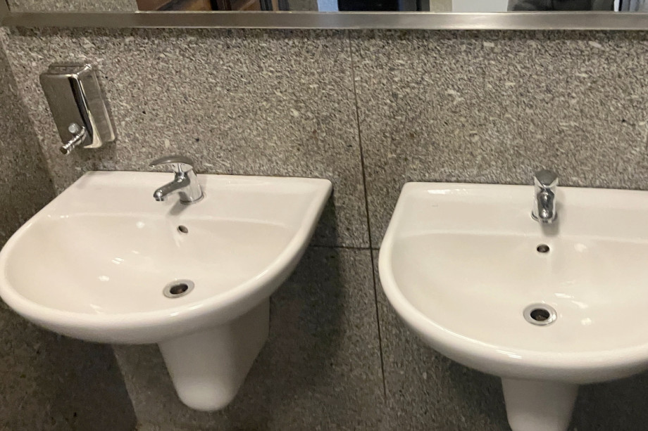 Туалет в Рудольфинуме. Изображение 2