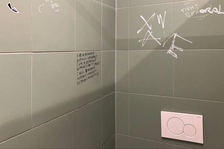 Общественный туалет на главной площади Граца. Изображение 6