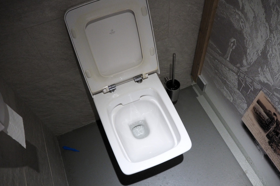 Туалет на теплоходе Tirol. Изображение 7