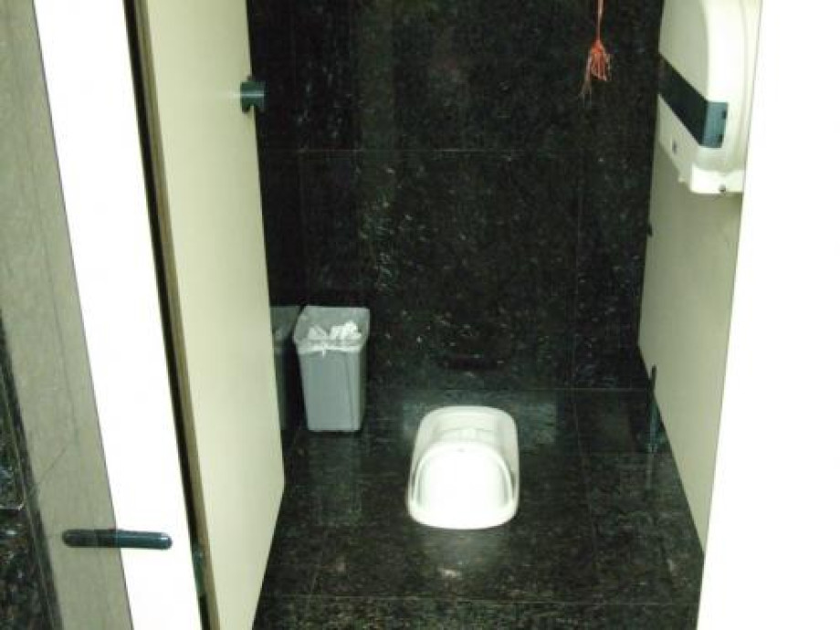 Туалет в Пекинском аэропорту. Изображение 2