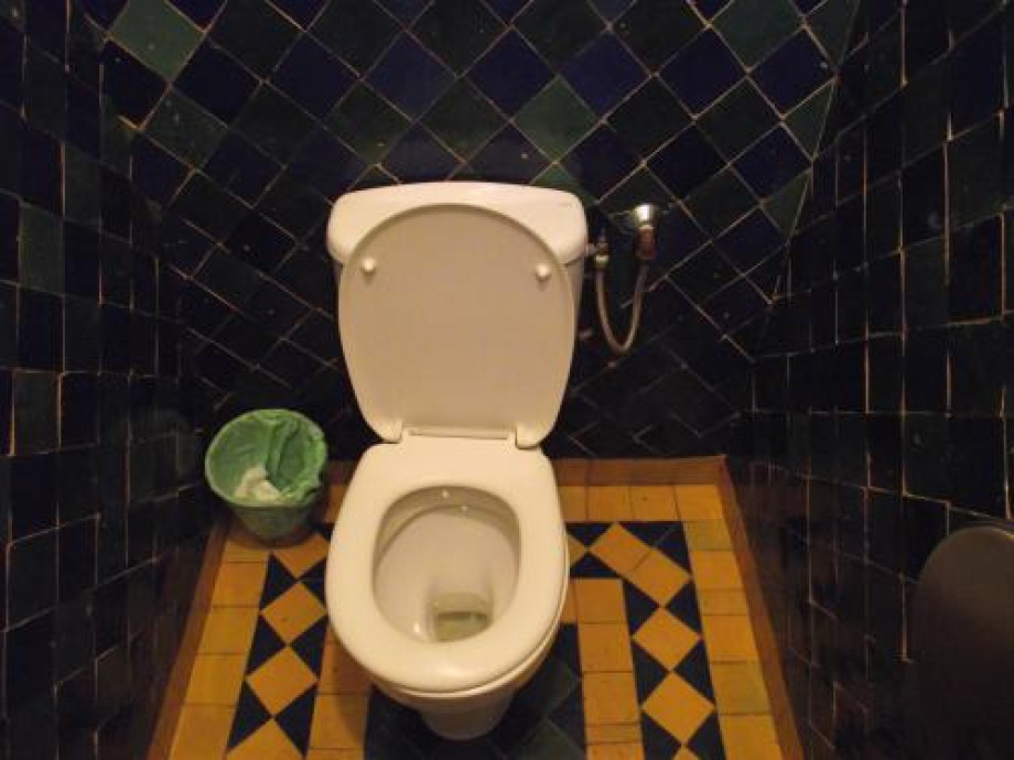 Публичный туалет в саду Мажорель. Изображение 1