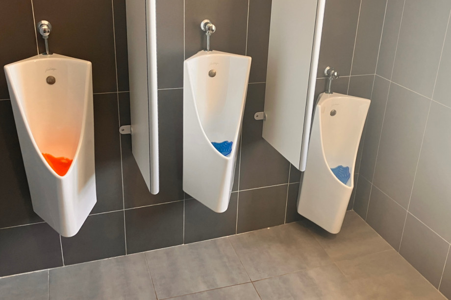 Туалет у замка Иф. Изображение 3