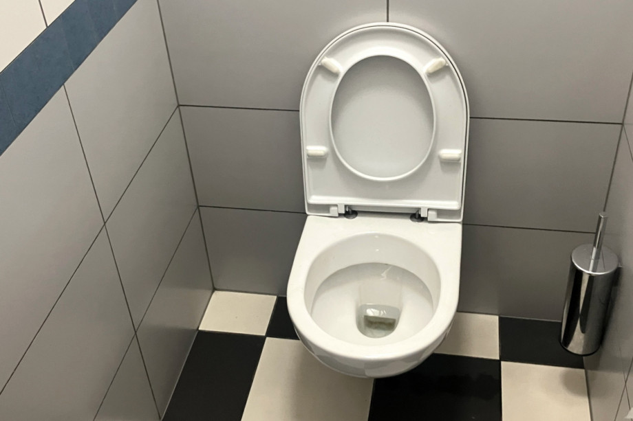 Туалет в Институте языковой и профессиональной подготовки Карлова университета. Изображение 4