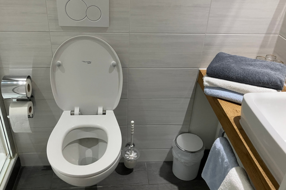 Туалет в номере Hotel Garni Viktoria. Изображение 2