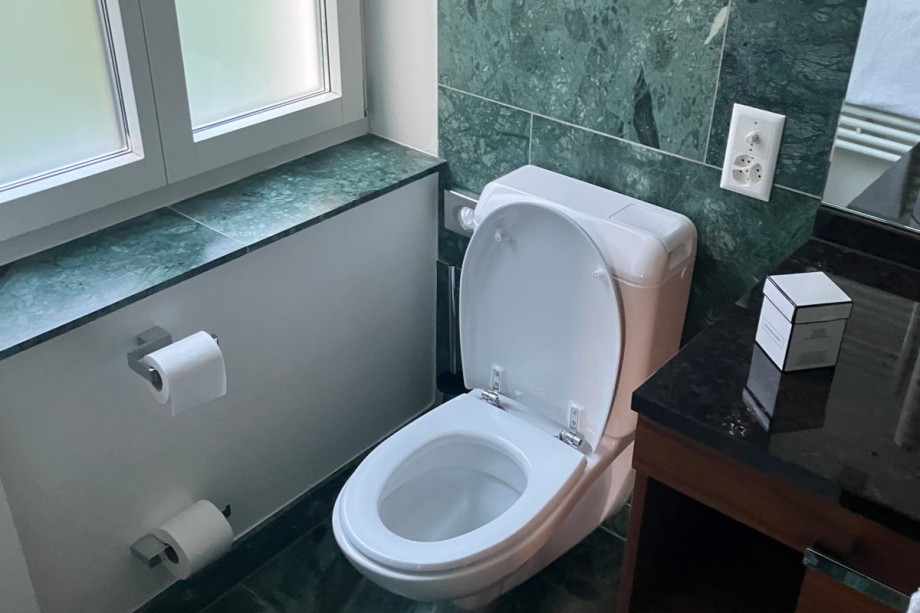 Ванная комната в номере Waldhotel Davos. Изображение 3
