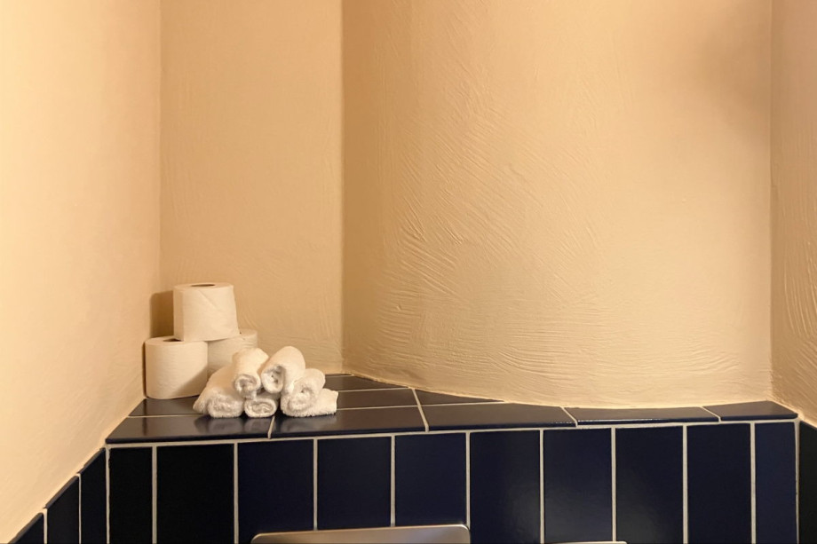Туалет в SPA Waldhotel Davos. Изображение 3