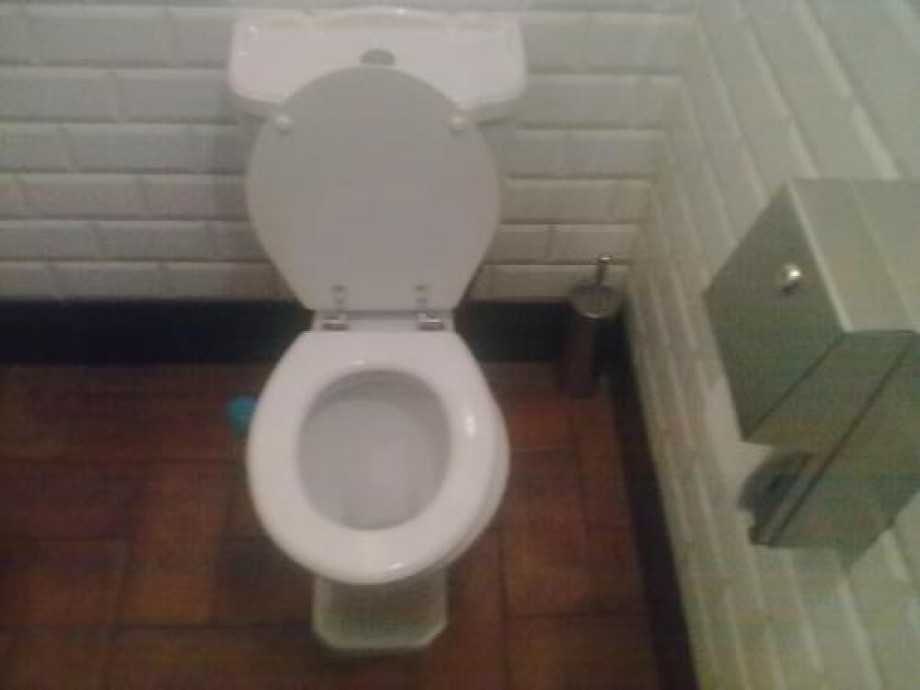 Туалет в пивной «Козловица» на Тургеневской. Изображение 1