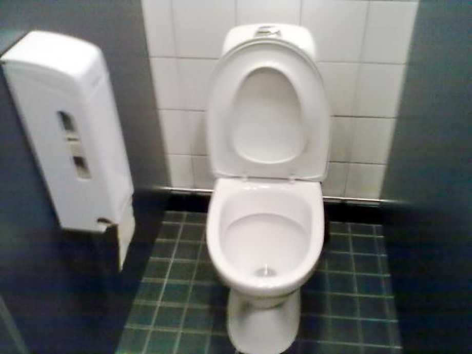 Туалет в холле спортивно-развлекательного комплекса Sirius. Изображение 3