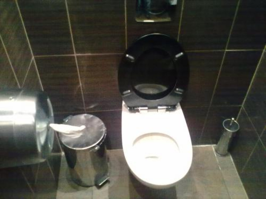 Туалет «Васаби» на Новочеркасской. Изображение 1