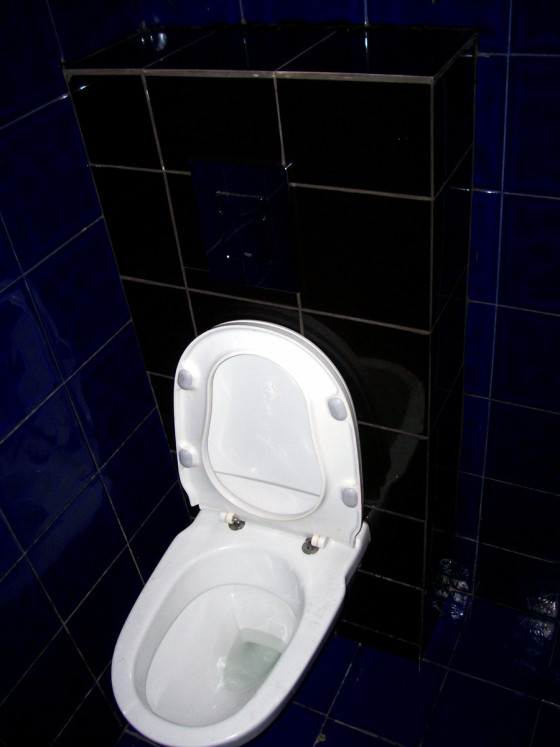 Туалет в Громоотводе