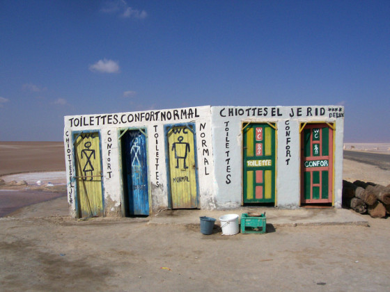Расписной туалет посреди соленого озера Шотт-эль-Джерид