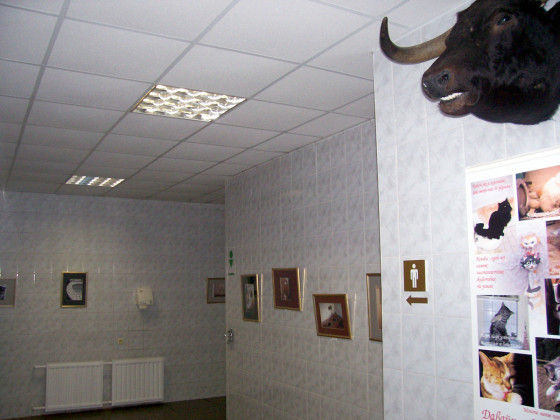 Туалет-выставка на территории Спасо-Преображенского монастыря