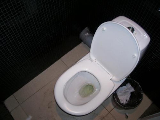 Туалет в гамбургерной "Карлс Джуниор"
