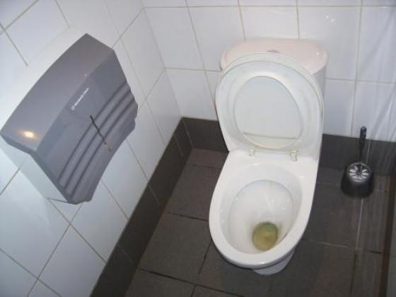 Туалет в "Теремке" на Невском