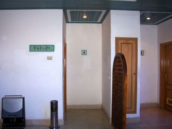 Туалет в холле отеля Desert Rose