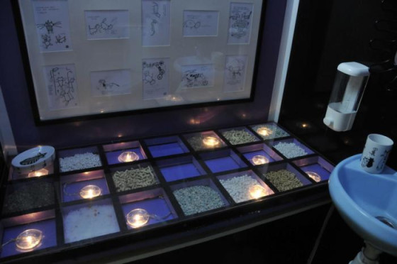 Туалет во всеволожском Музее Кошки