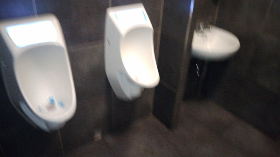 Туалет в ресторане 12