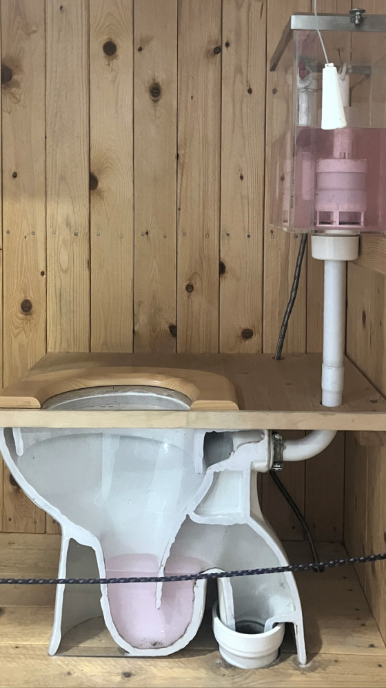 Модель туалета в Техмании