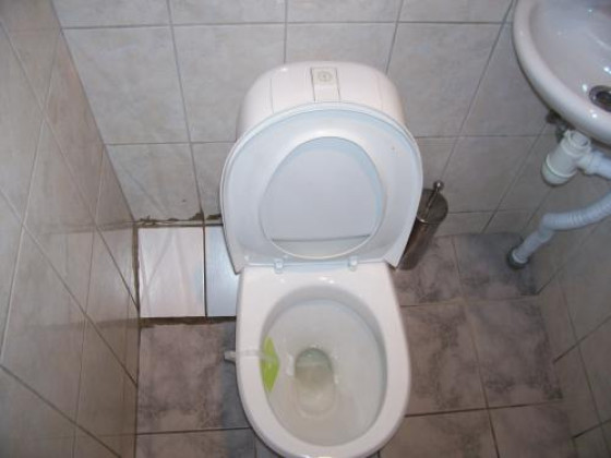 Туалет кафе «Оптимальный дворик»
