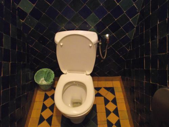 Публичный туалет в саду Мажорель