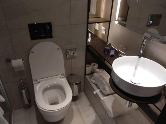 Туалет в номере Deluxe гостиницы Orea Resort Horal