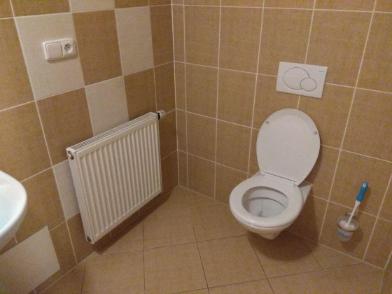 Туалет в номере гостевого дома Zelená Žába